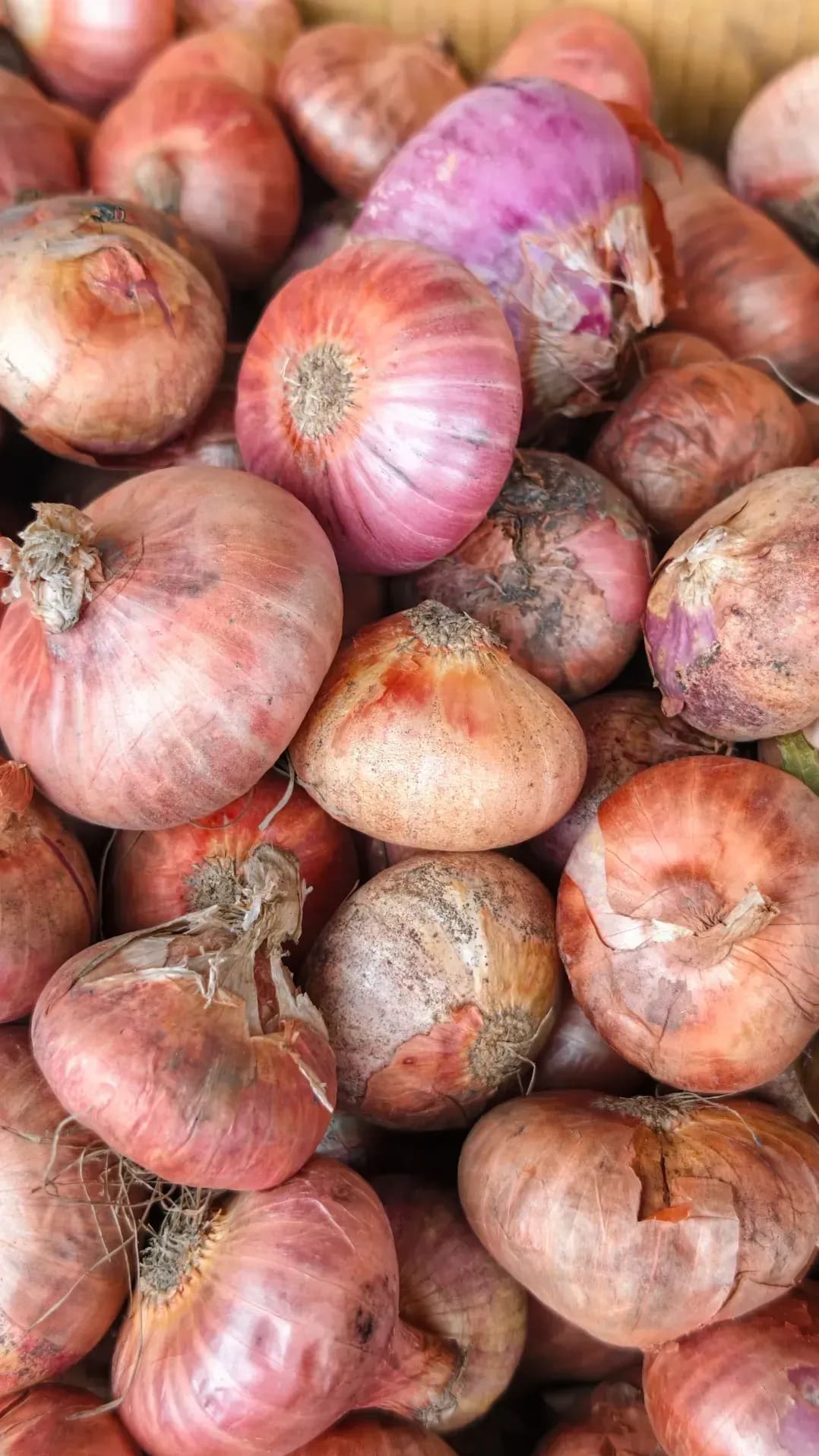 Seasonal fresh produce delivery
